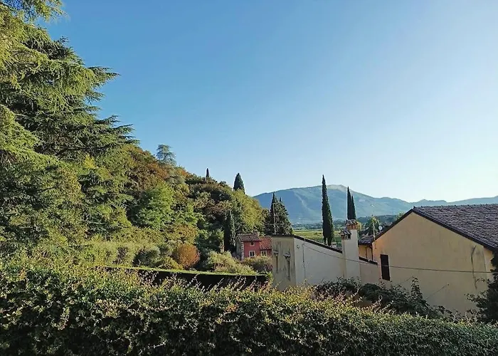 Moscal- Bella Vista 아피